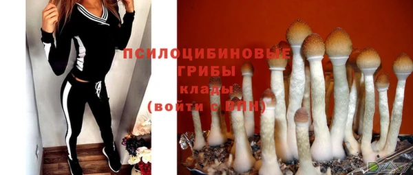 мяу мяу мука Саяногорск