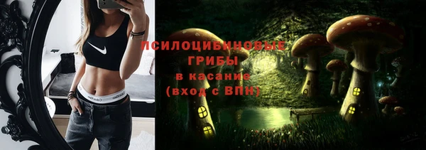 марки lsd Елабуга