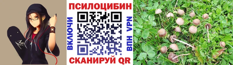 Галлюциногенные грибы MAGIC MUSHROOMS  Купить закладки  Зерноград 